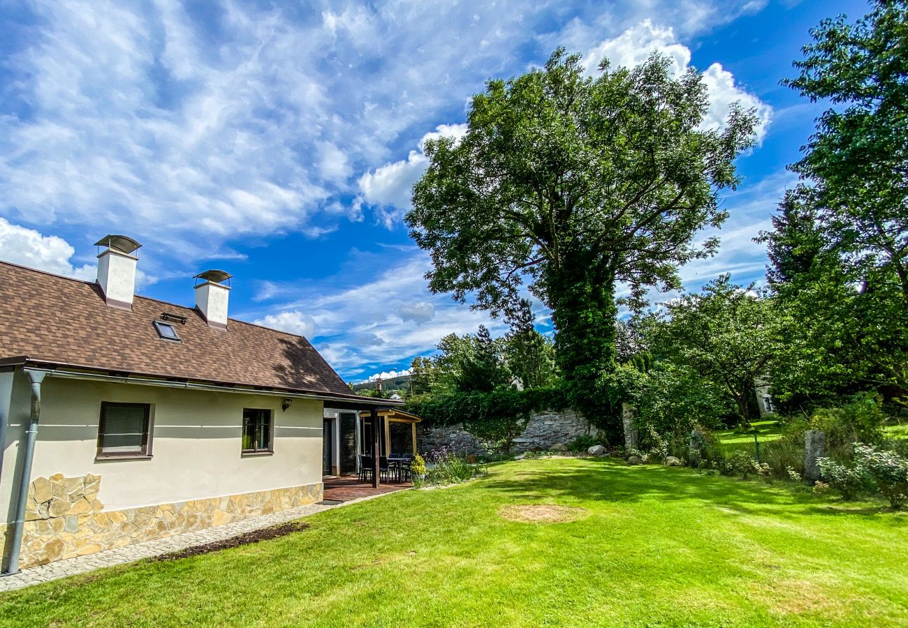 Villa in Nové Mesto pod Smrkem -  Ludvikov LLP035