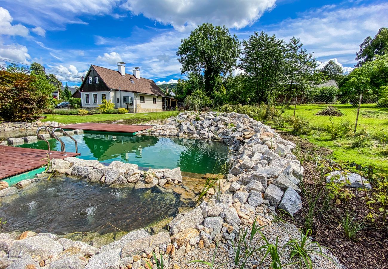 Villa in Nové Mesto pod Smrkem -  Ludvikov LLP035
