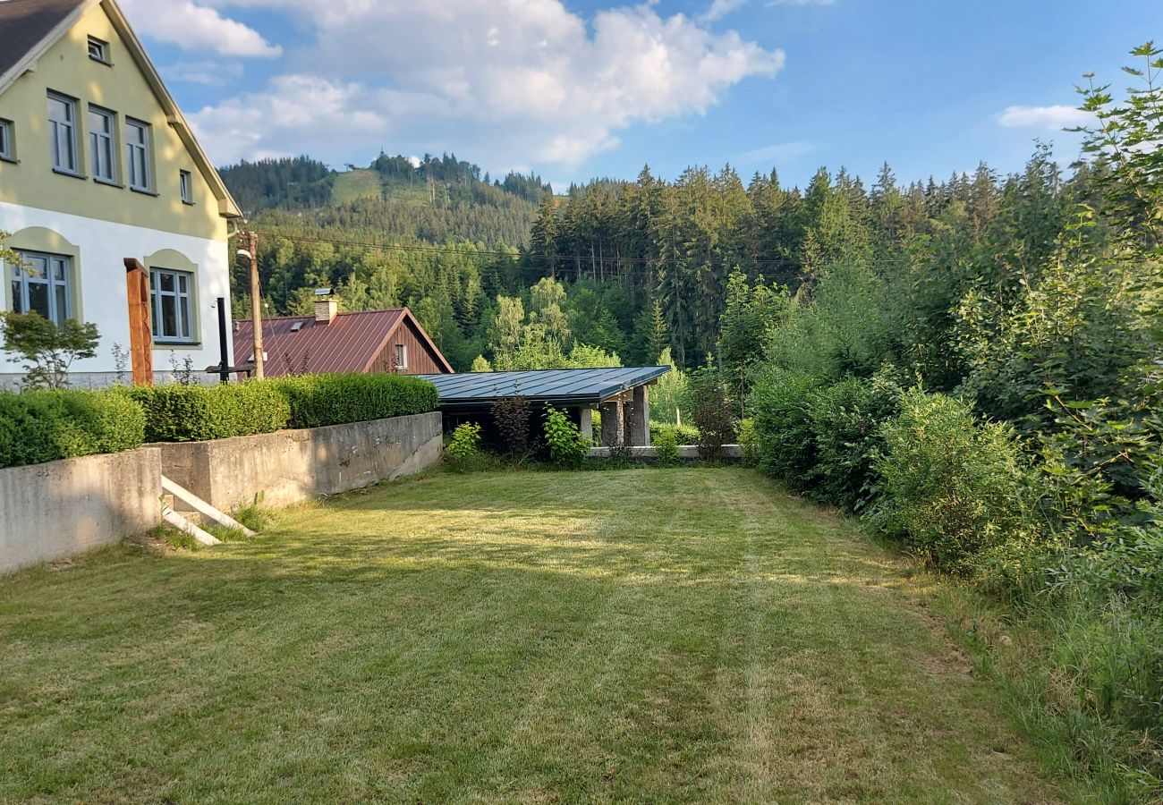 Villa in Albrechtice v Jizerských horách -  Albrechtice LAT085