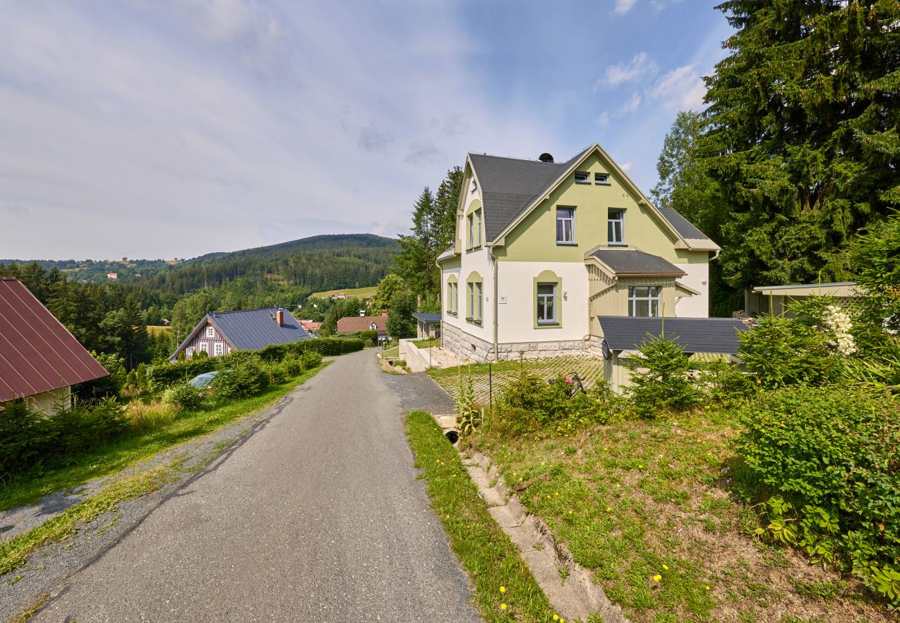 Villa in Albrechtice v Jizerských horách -  Albrechtice LAT085