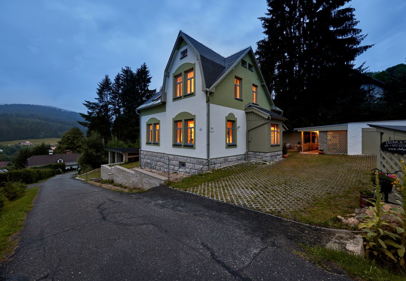 Villa in Albrechtice v Jizerských horách -  Albrechtice LAT085