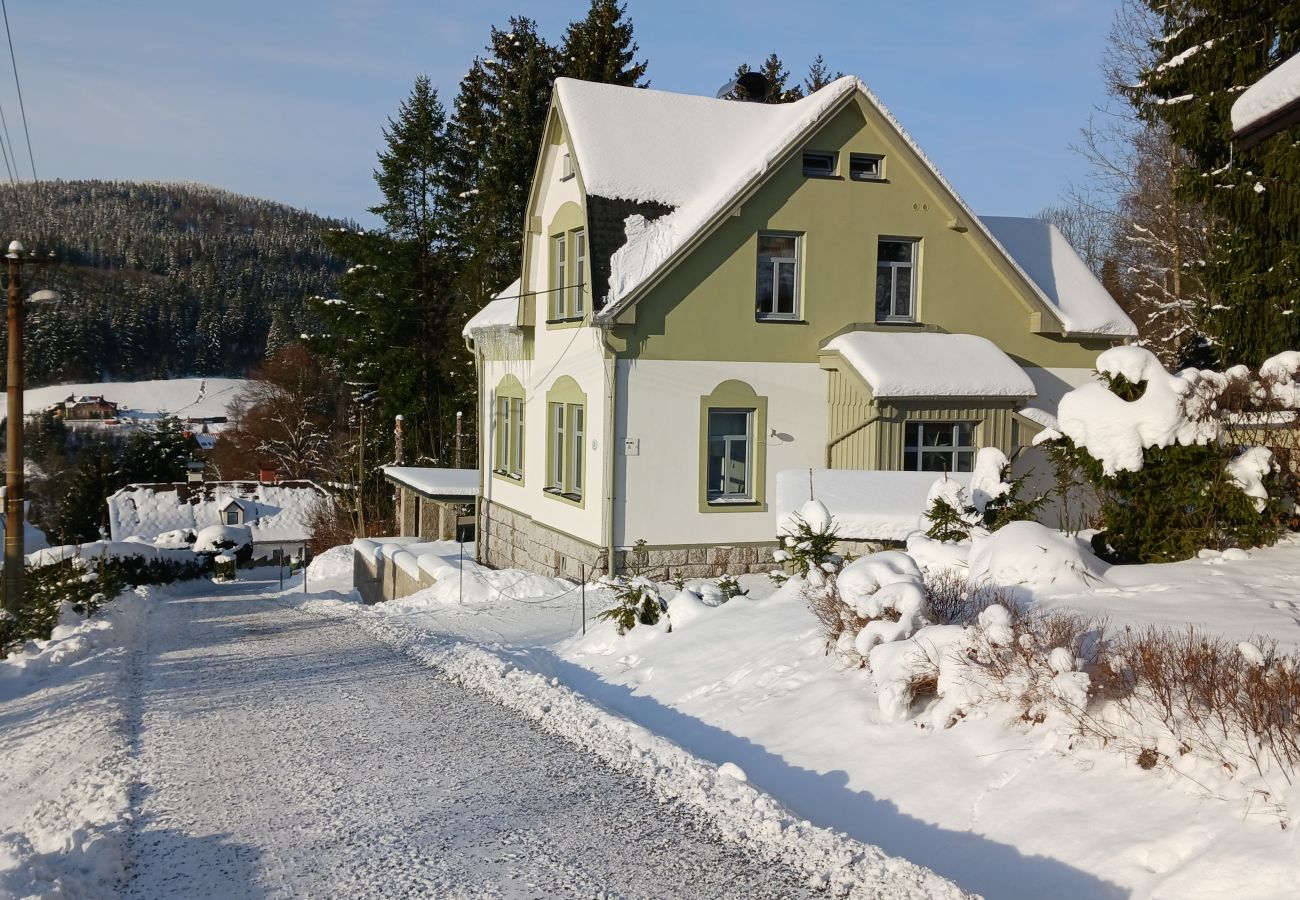 Villa in Albrechtice v Jizerských horách -  Albrechtice LAT085