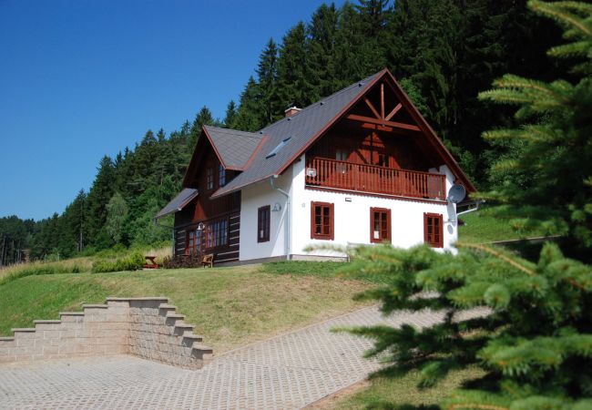 Villa in Vidochov -  Stupna KSF095