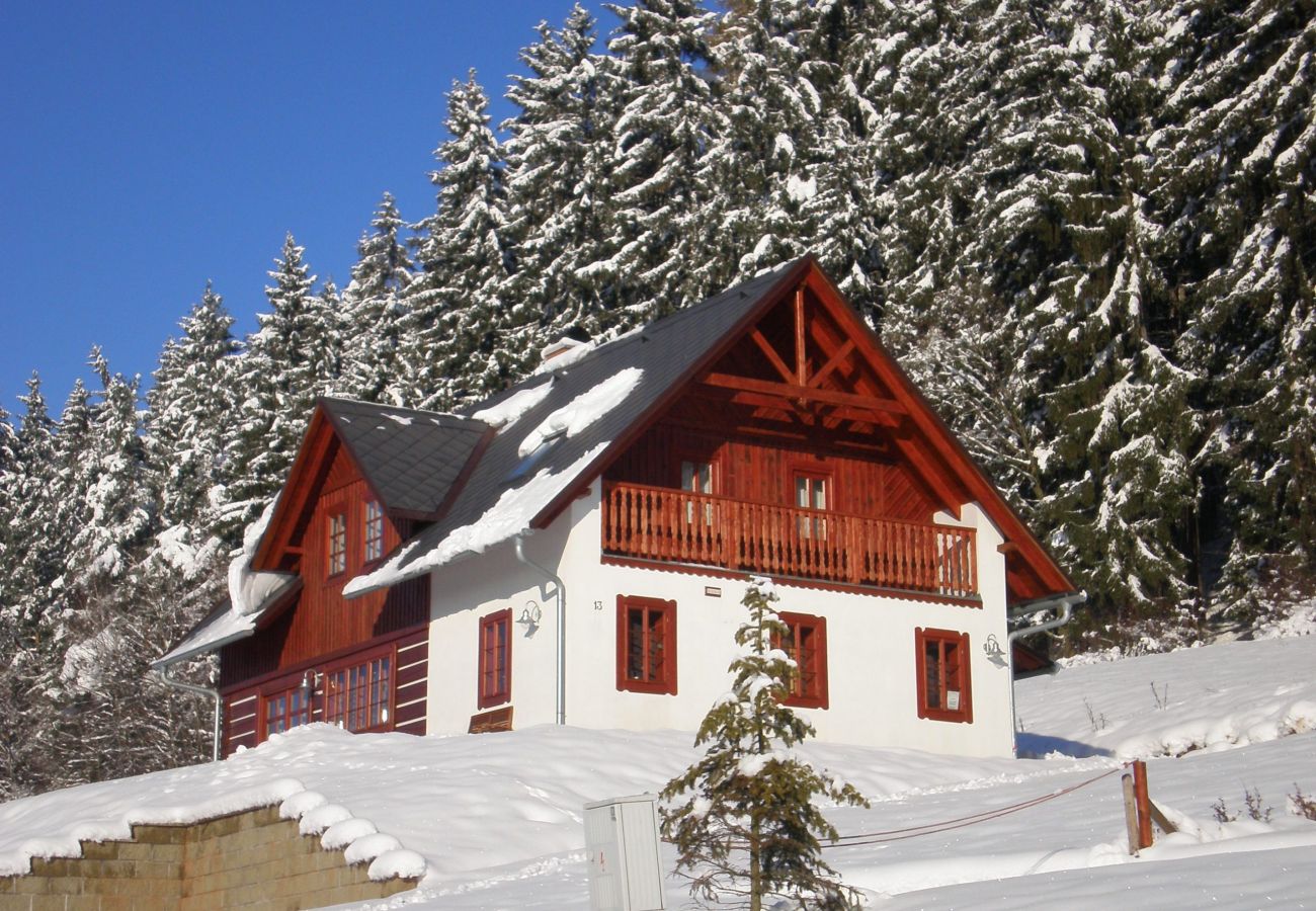 Villa in Vidochov -  Stupna KSF095
