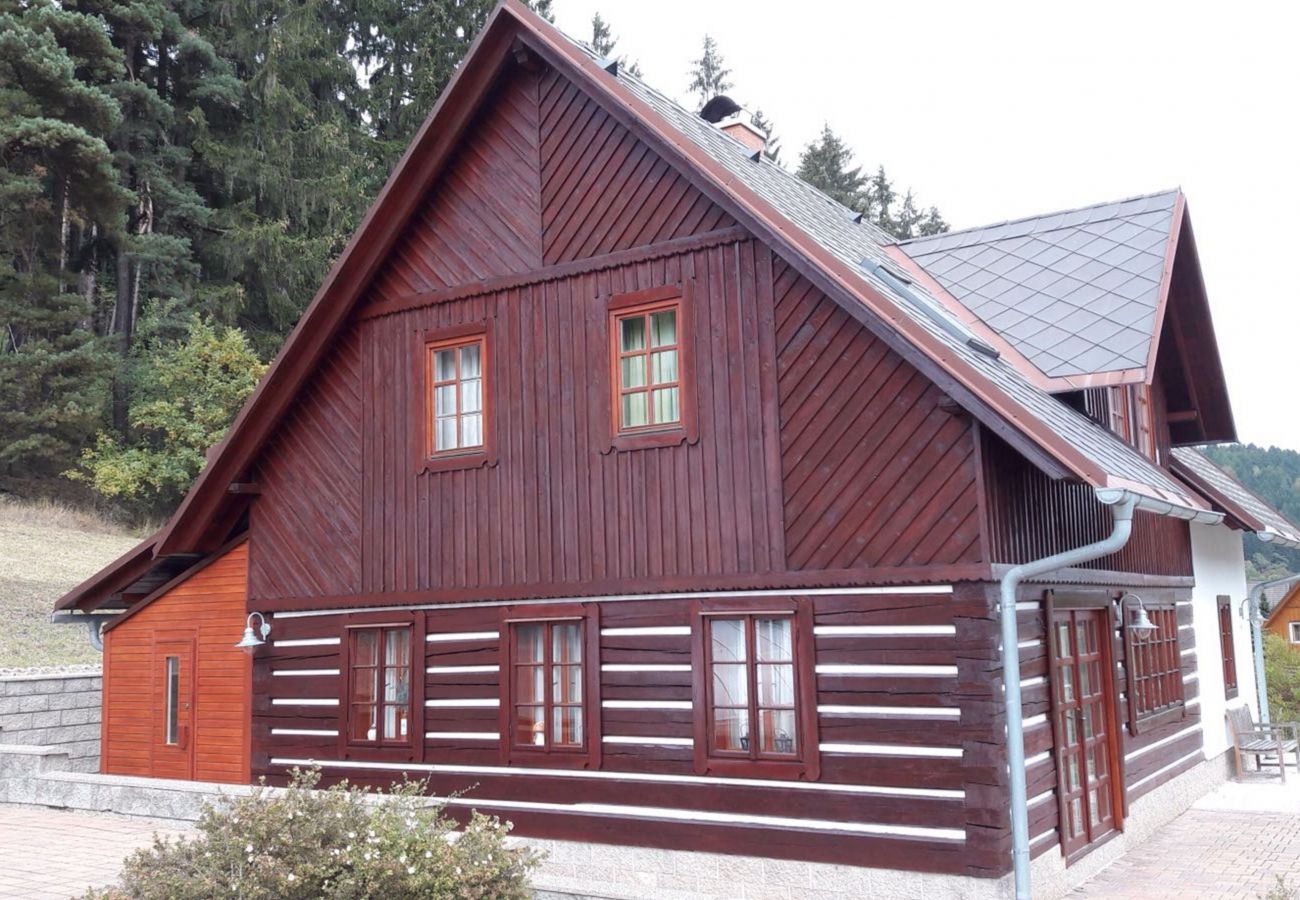Villa in Vidochov -  Stupna KSF095
