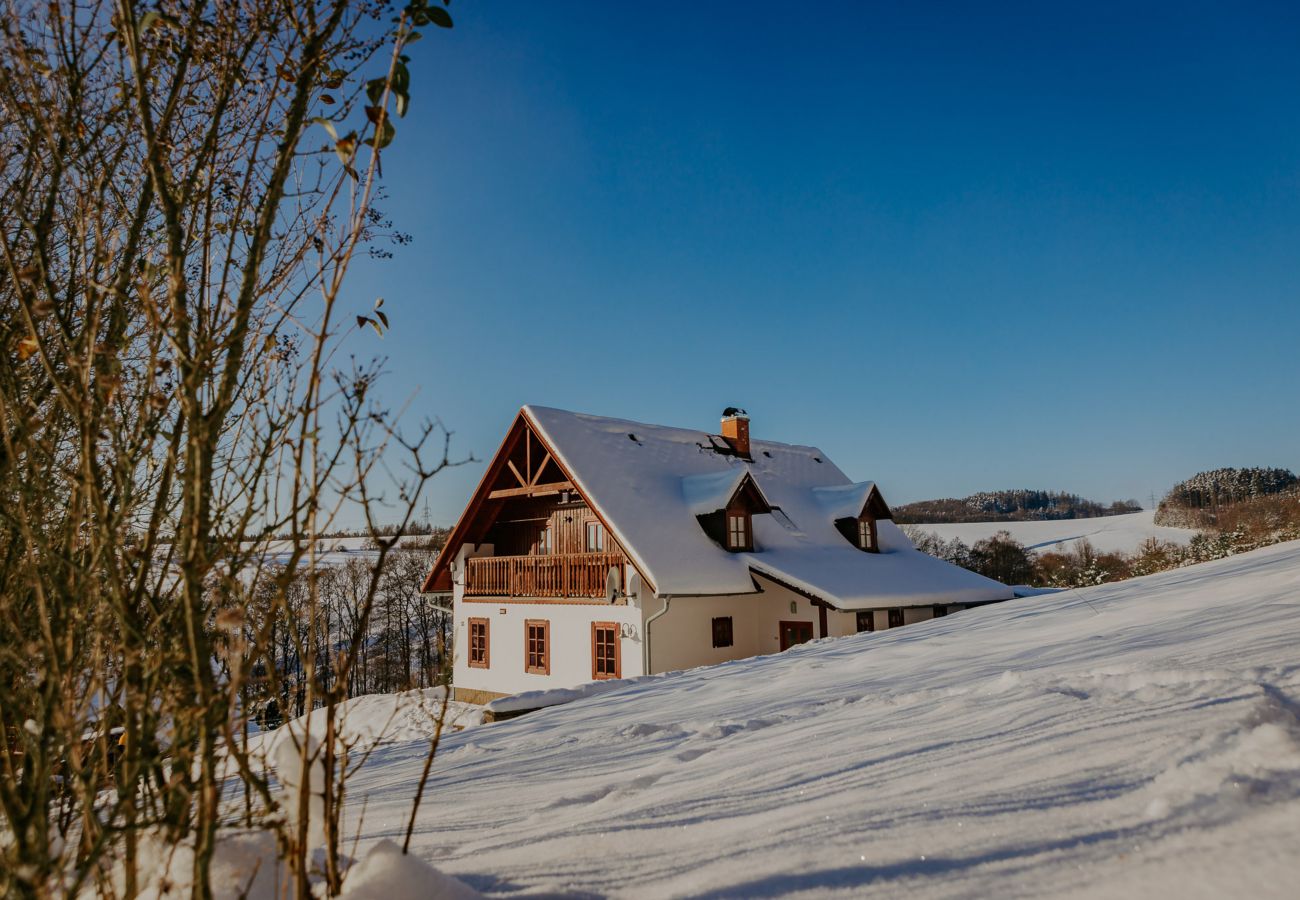 Villa in Vidochov -  Stupna KSF095