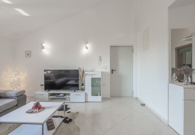 Apartment in Privlaka - Seaview Apartment Privlaka Apartment in Privlaka - Seaview Apartment Privlaka