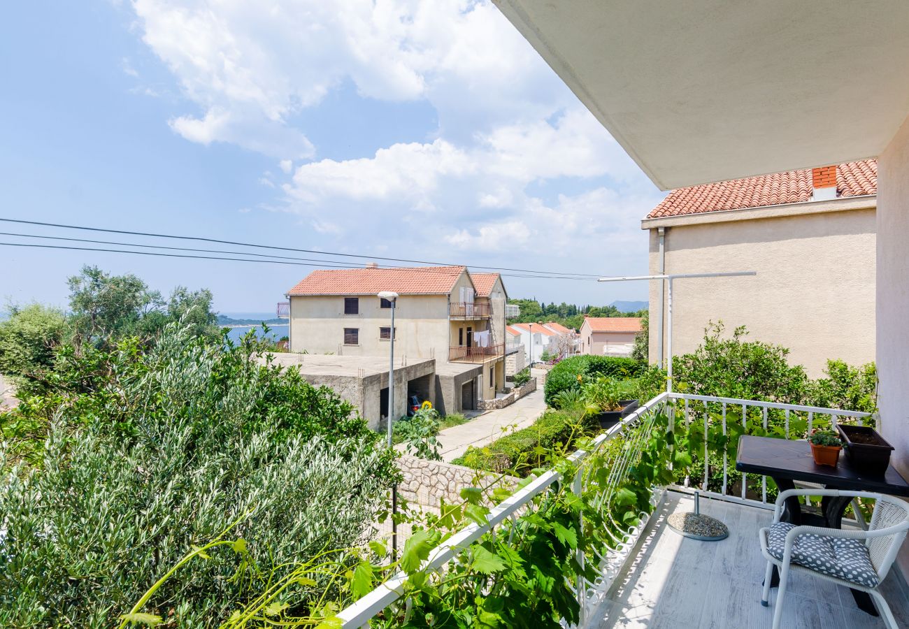 Apartment in Cavtat - Apartment Cavtat with private balcony