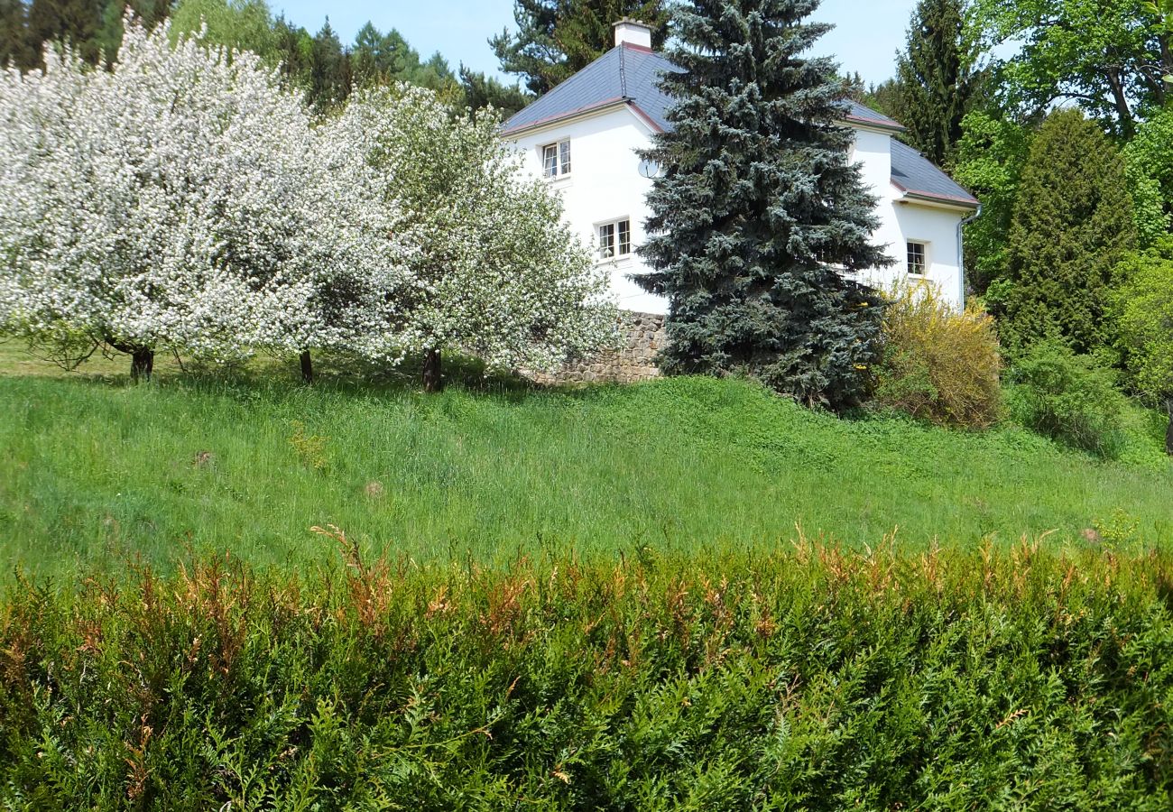 Villa in Vidochov - KSG190