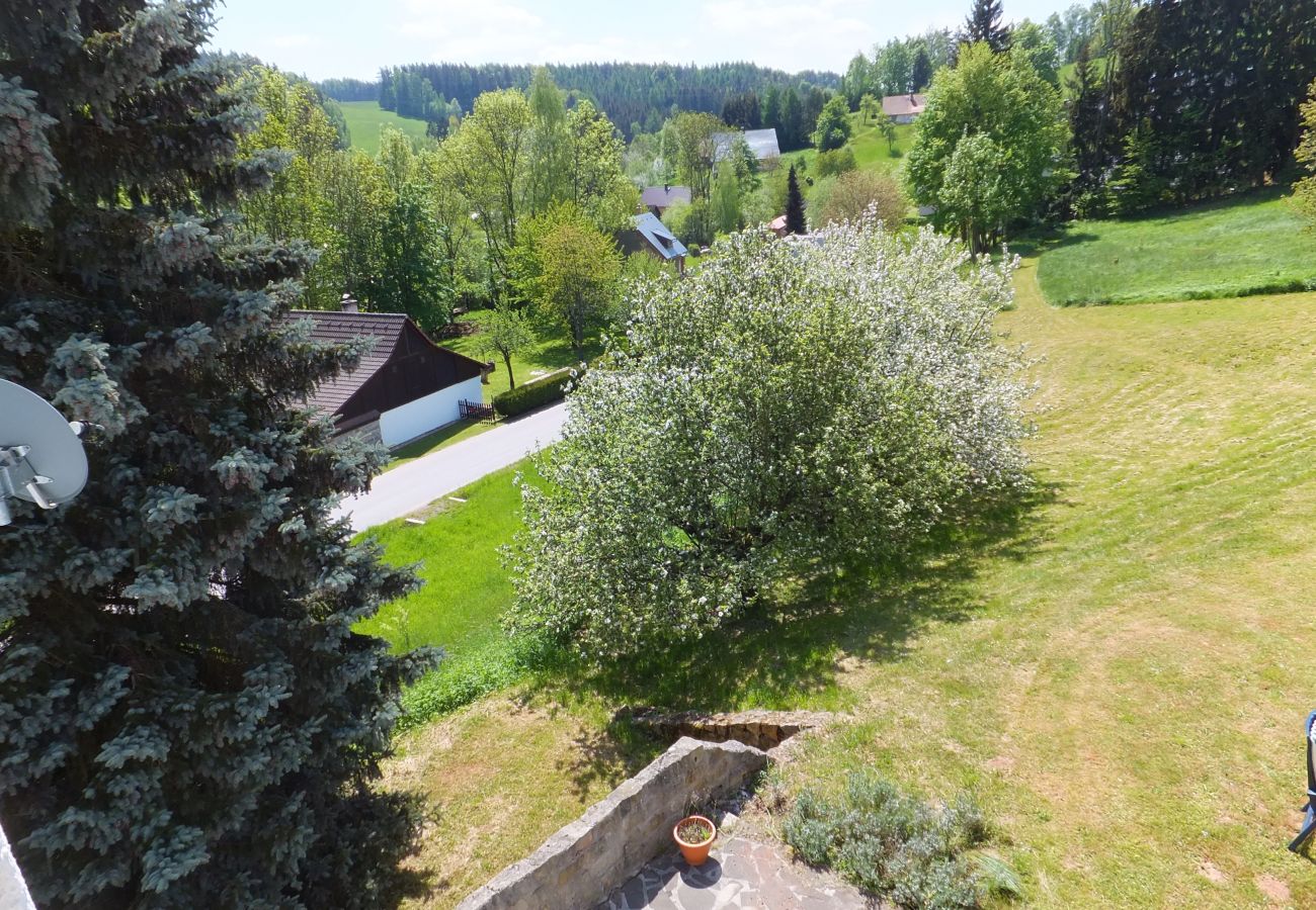 Villa in Vidochov - KSG190