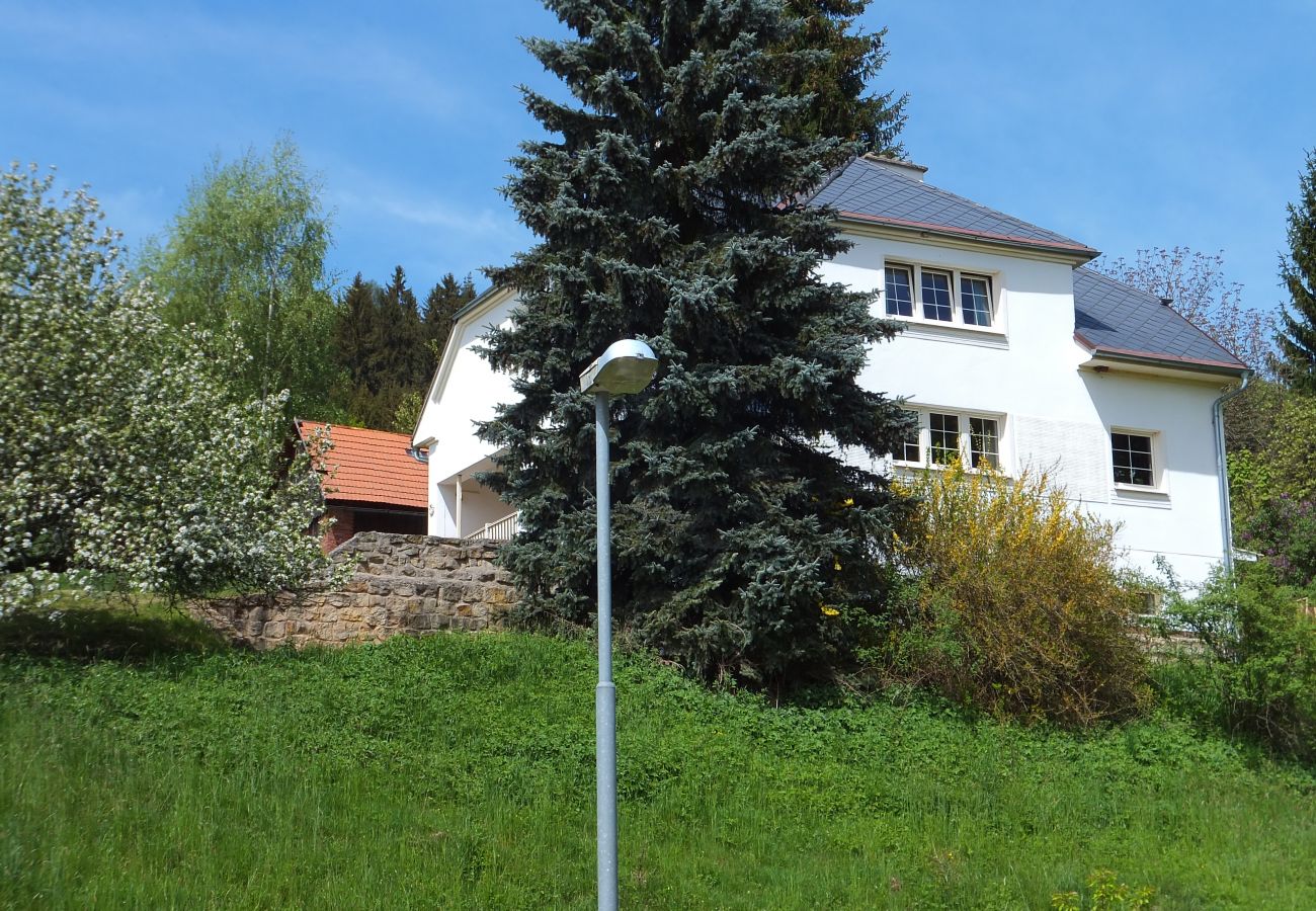 Villa in Vidochov - KSG190