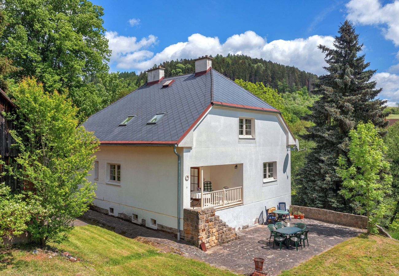 Villa in Vidochov - KSG190