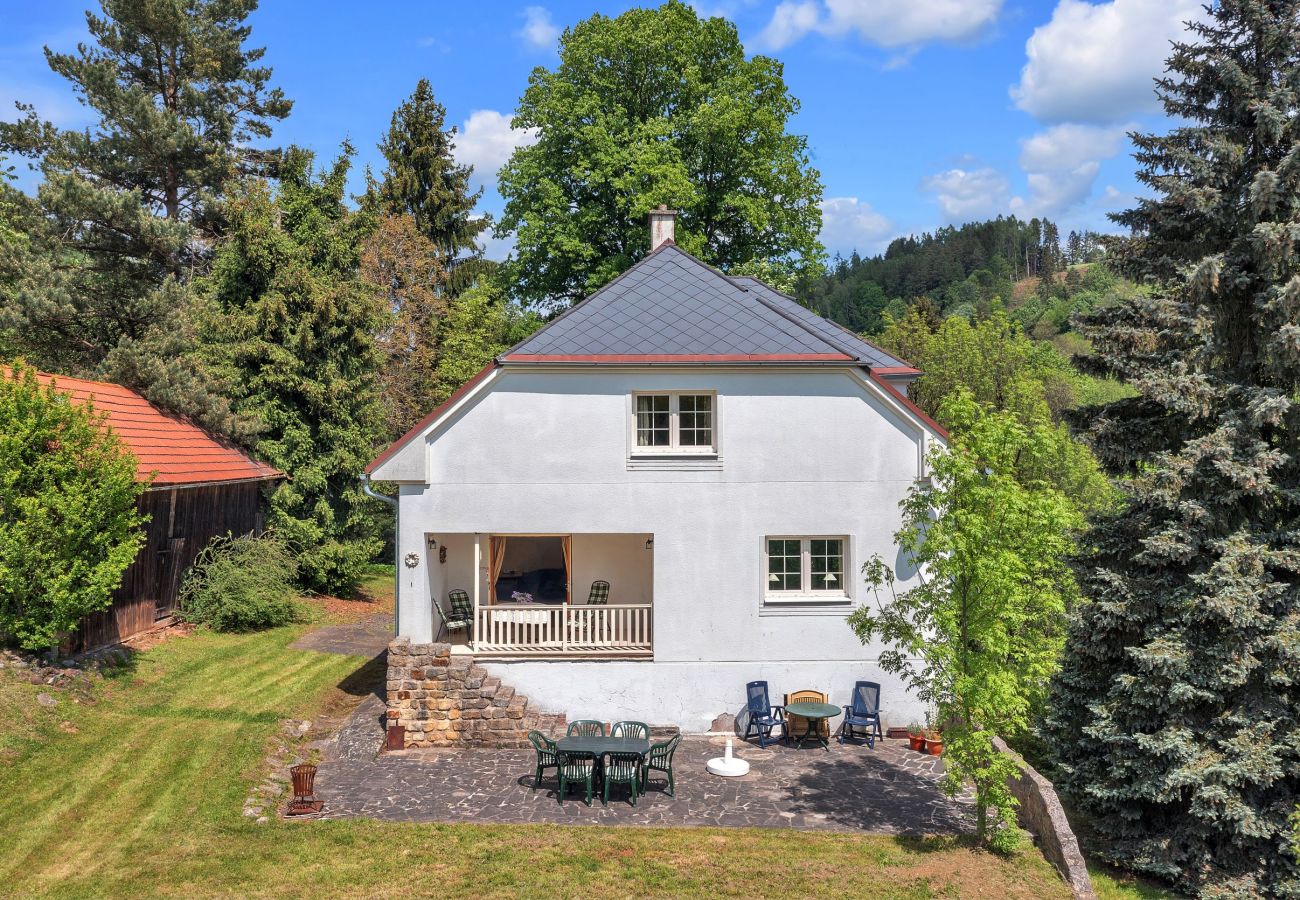 Villa in Vidochov - KSG190