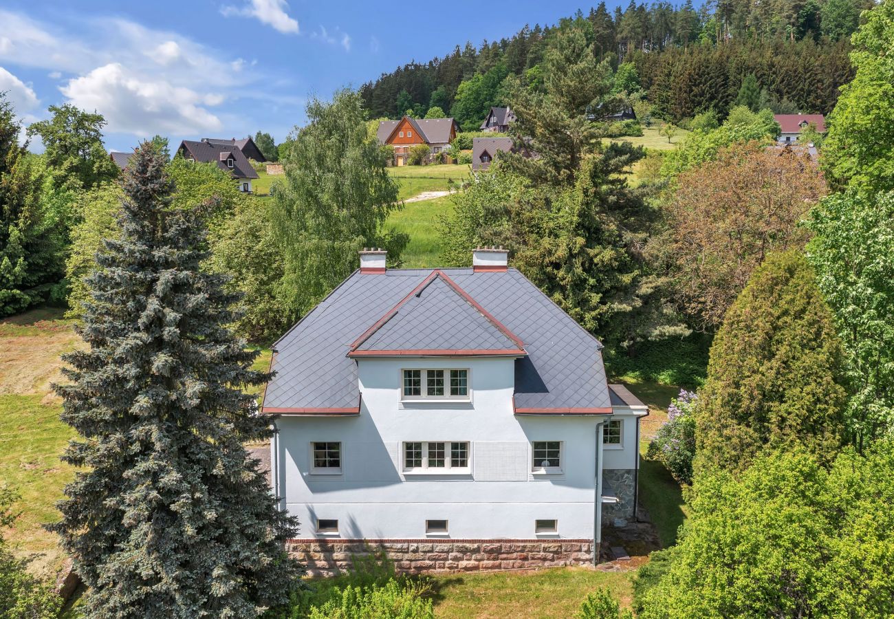 Villa in Vidochov - KSG190