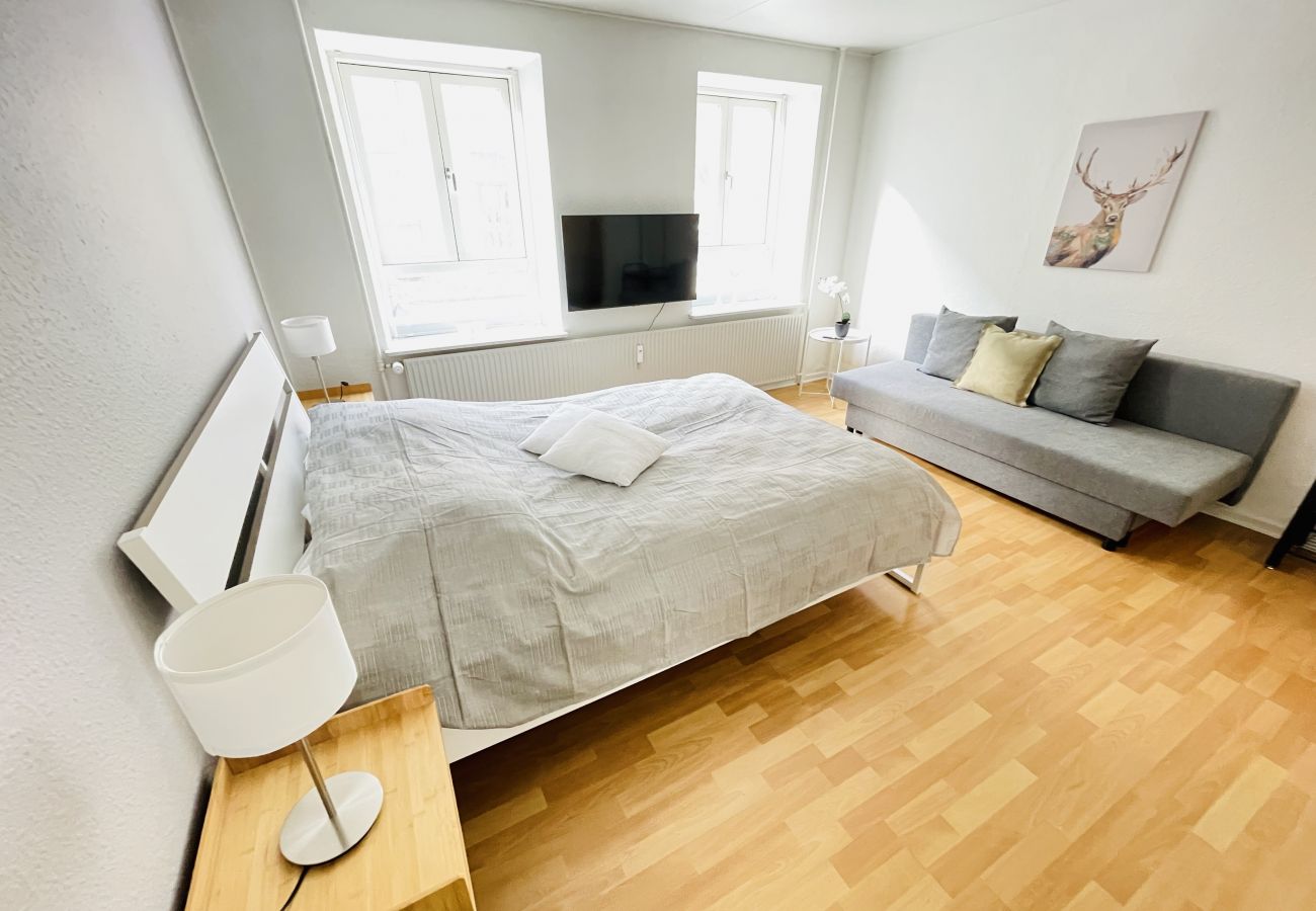 Studio in Aalborg - aday - Central Studio Apartment