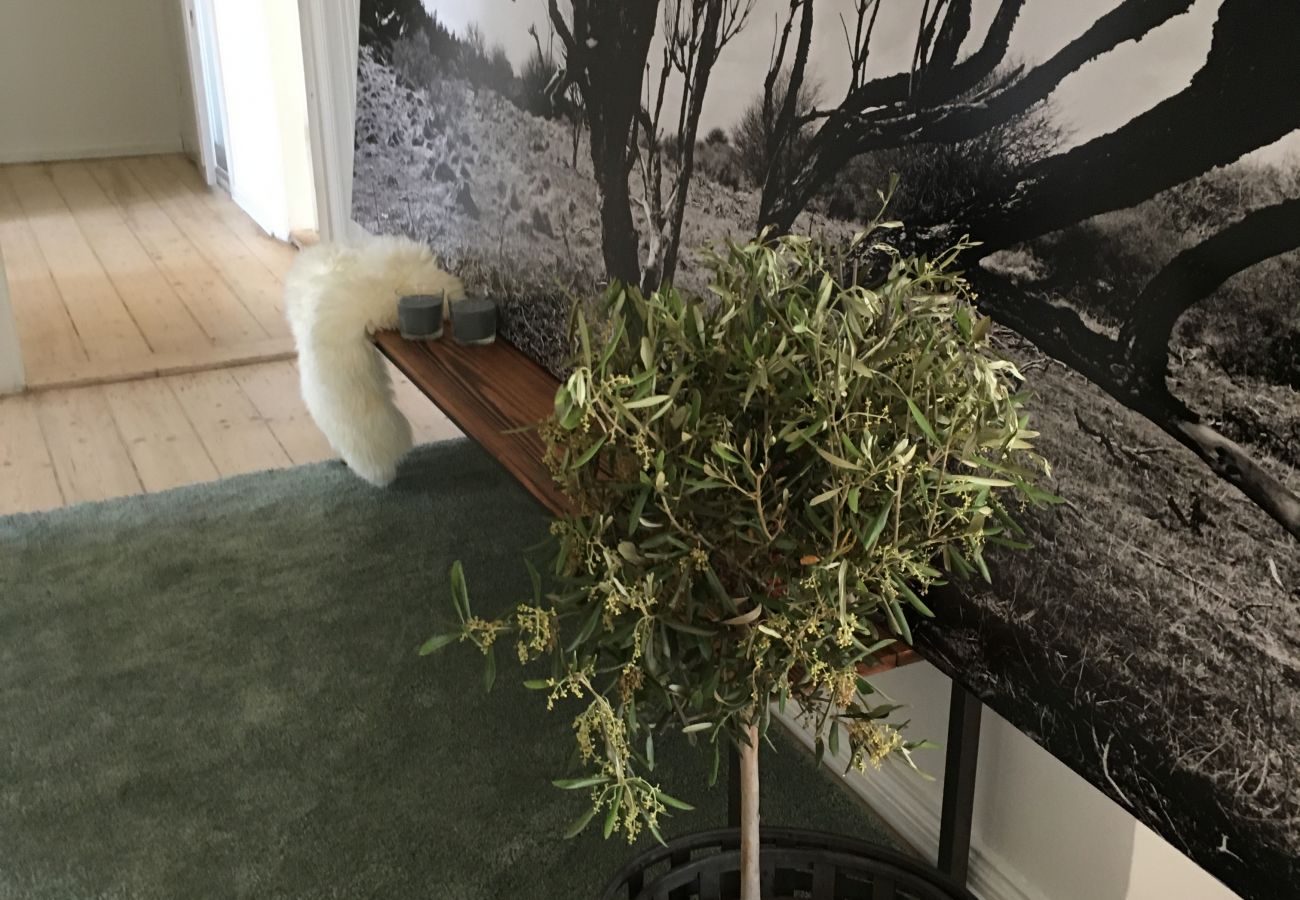 Apartment in Aalborg - aday - Delightful apartment in the heart of Aalborg