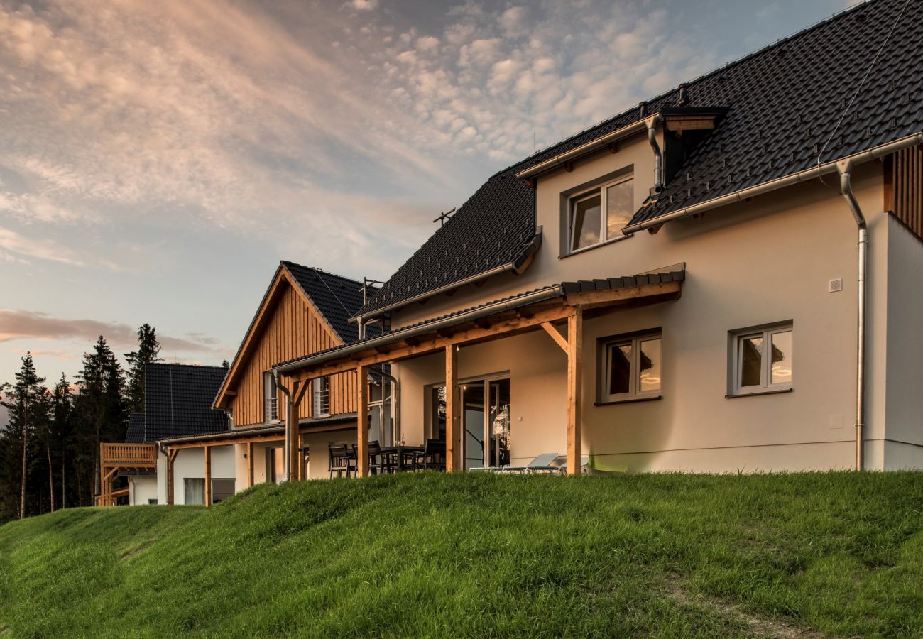 Villa in Frymburk - Lakeside Village SLLV-5
