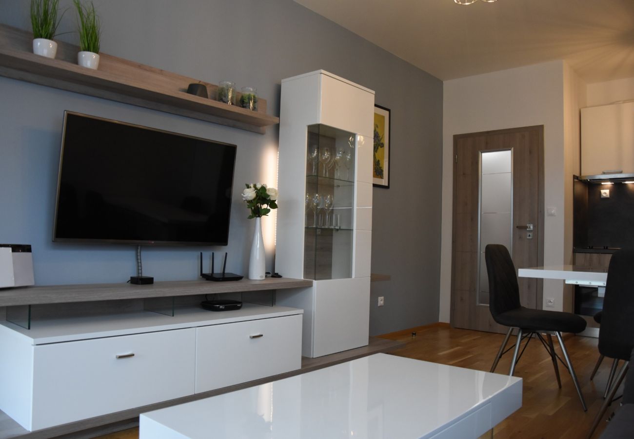 Apartment in Cerný Dul - KCT100