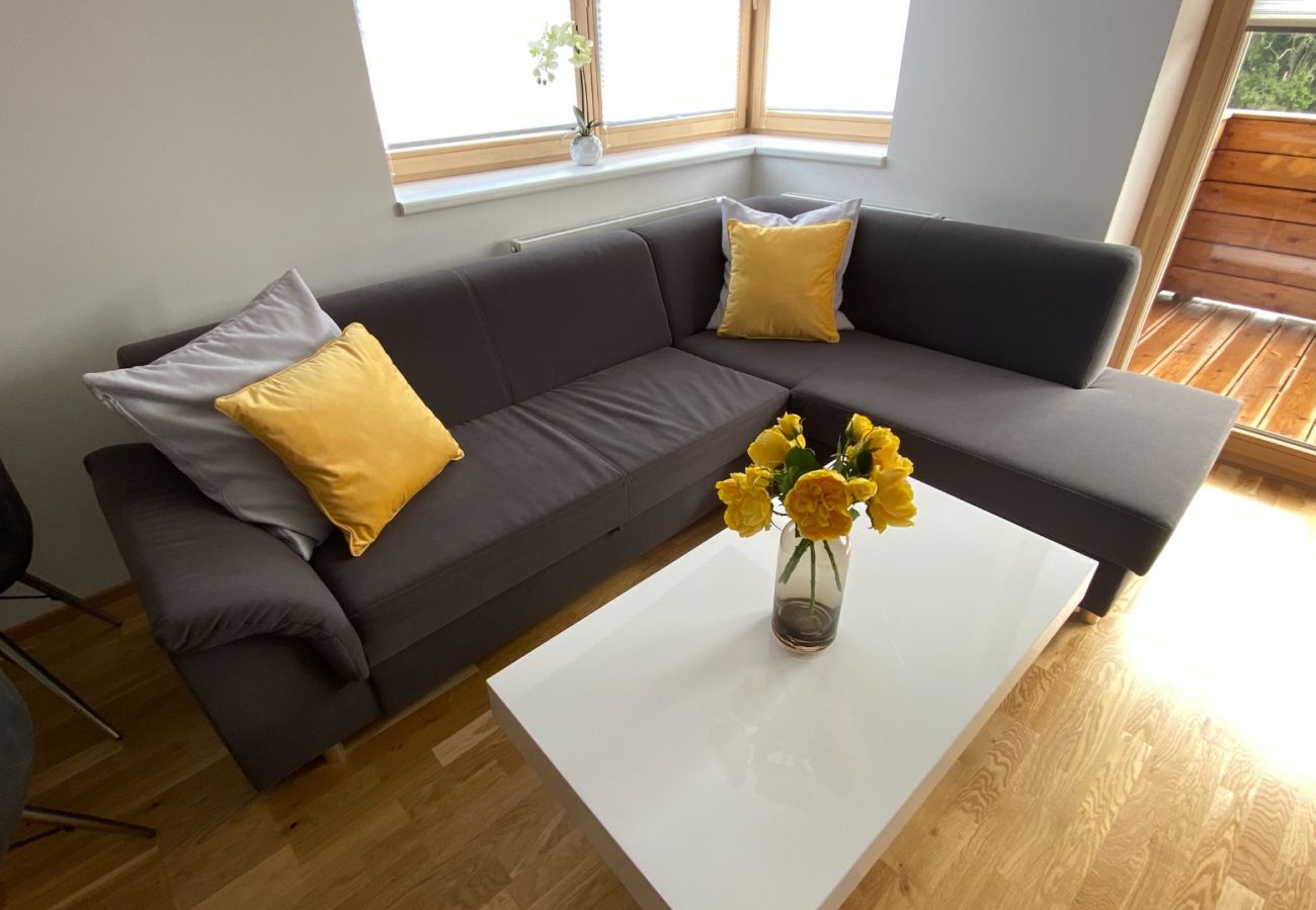 Apartment in Cerný Dul - KCT100