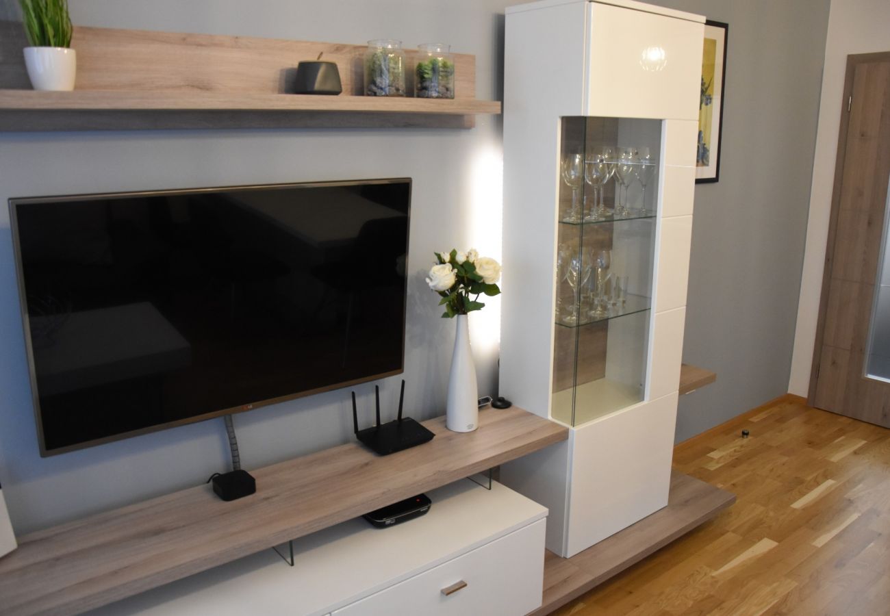 Apartment in Cerný Dul - KCT100