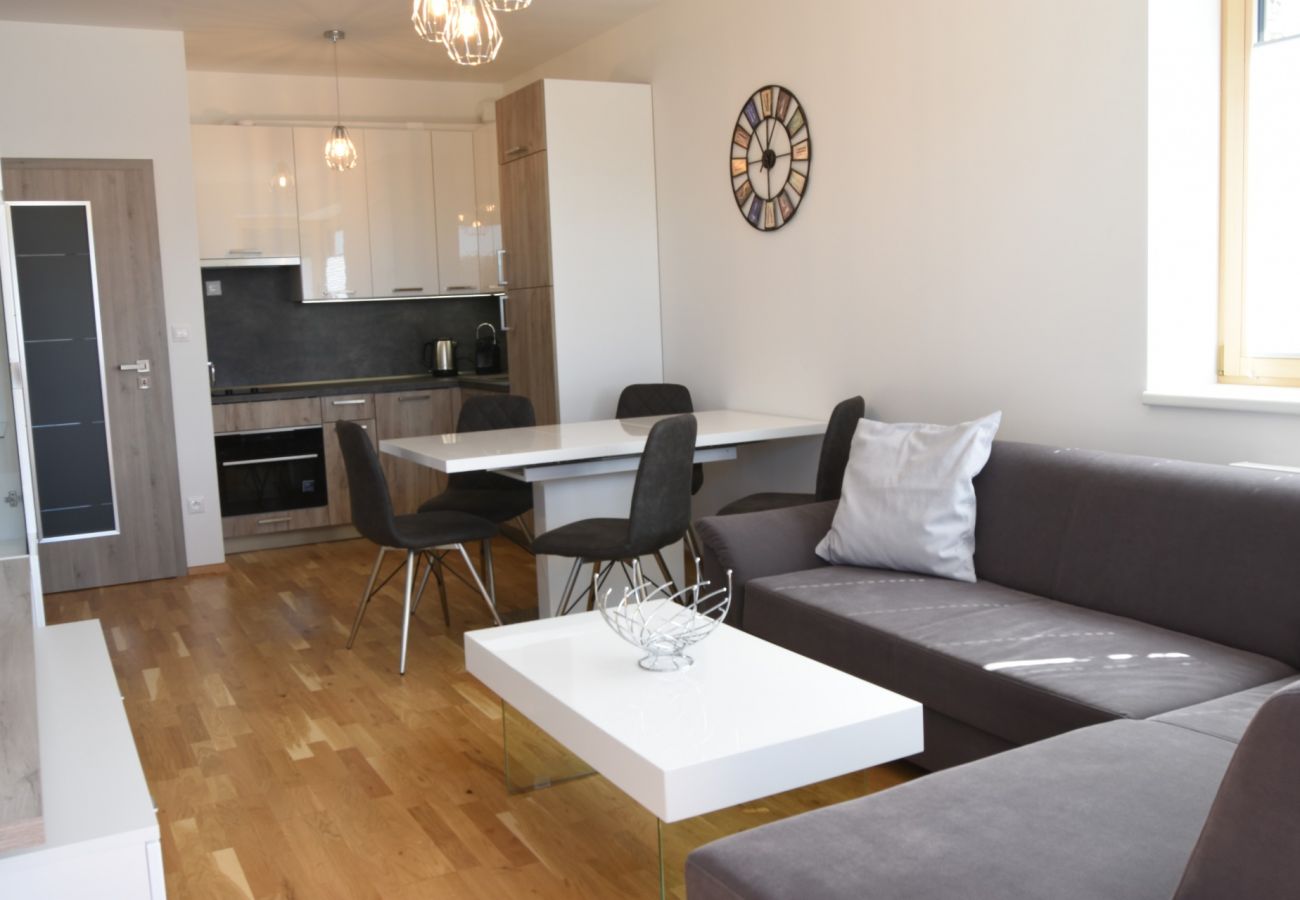 Apartment in Cerný Dul - KCT100