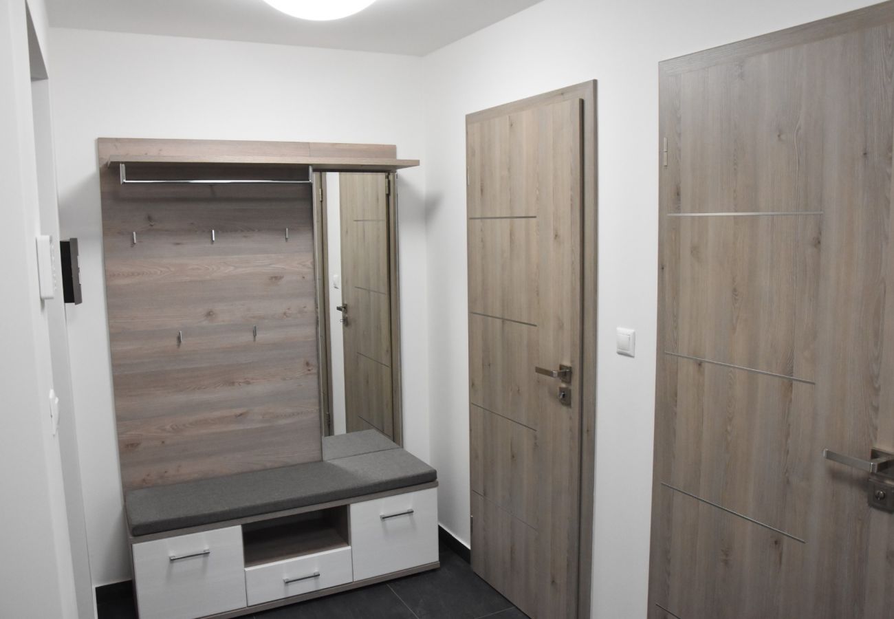 Apartment in Cerný Dul - KCT100