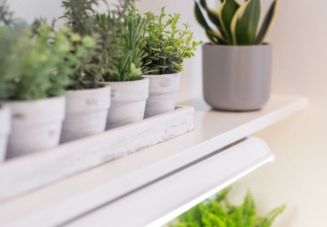 Apartment in Edinburgh - Spacious 3 Bedroom Apartment - Free Parking - Edinburgh Apartment in Edinburgh - Spacious 3 Bedroom Apartment - Free Parking - Edinburgh