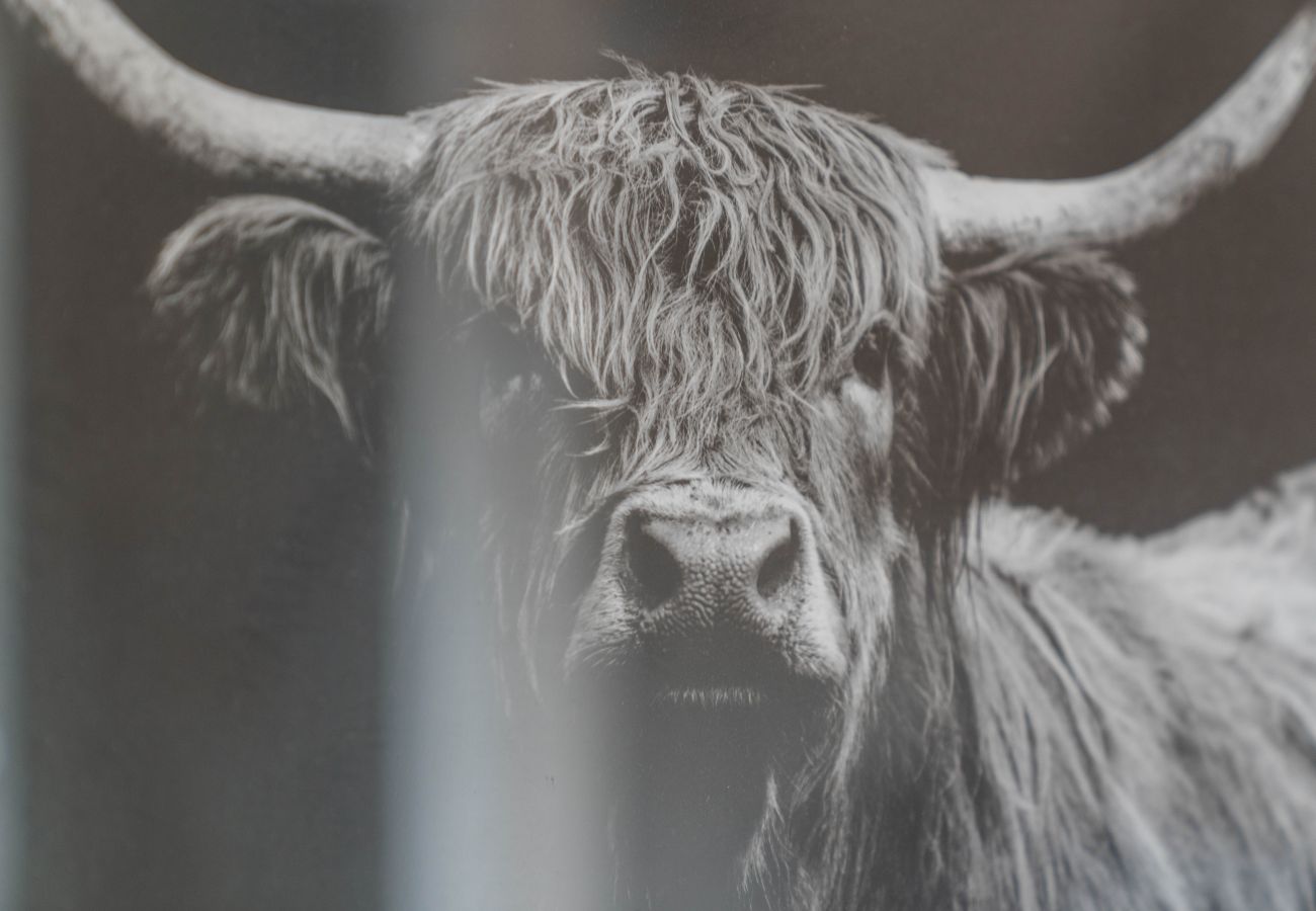 Rent by room in Inverness - mySTAYINN Strathblane Guest House Room 7