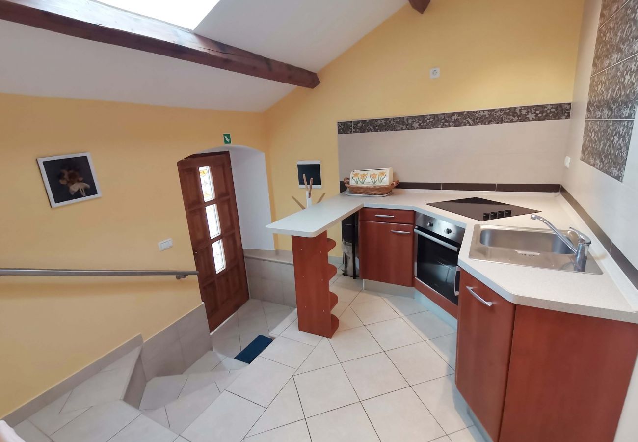 Country house in Šumber - Poolincluded - Dream Villam