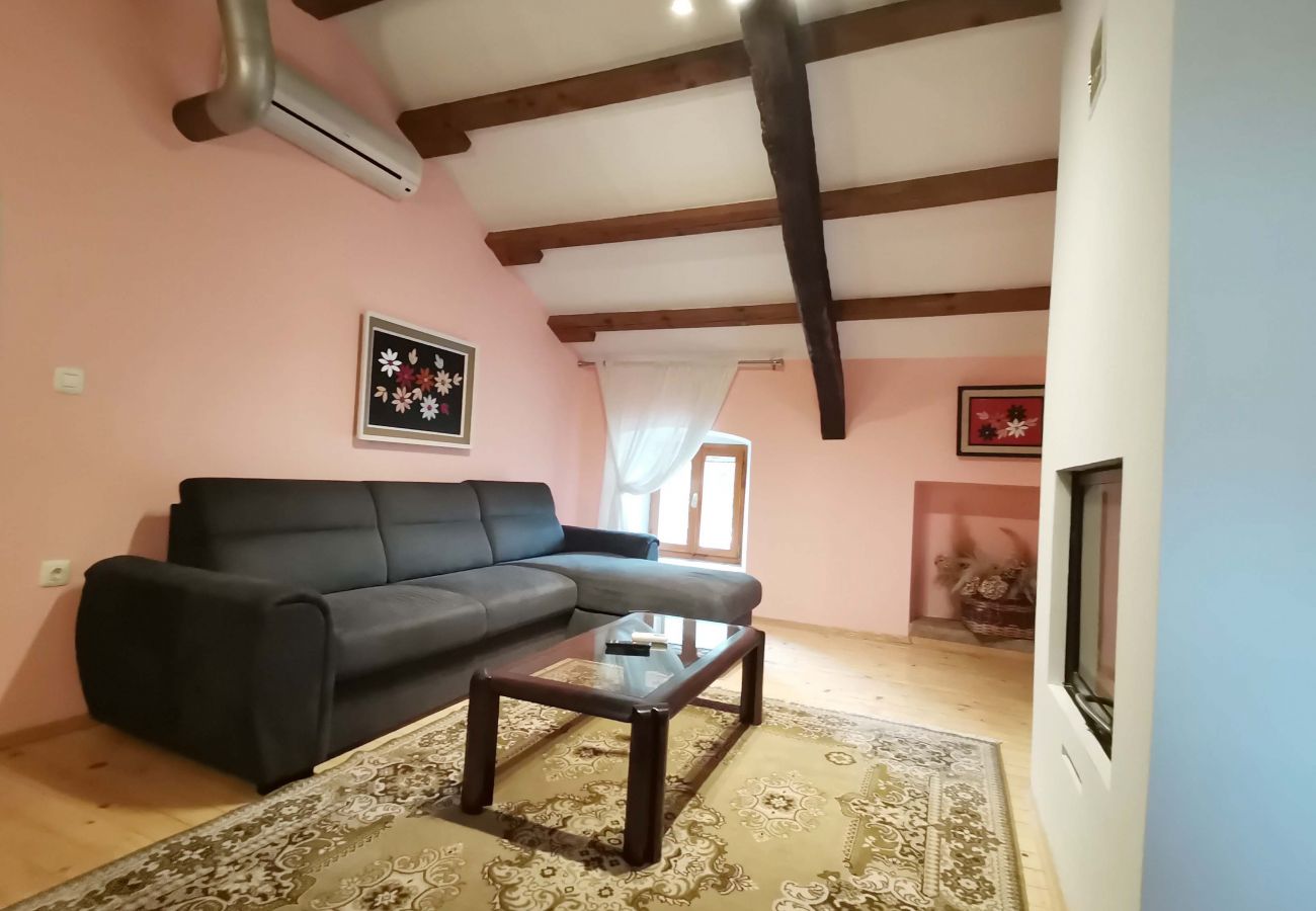 Country house in Šumber - Poolincluded - Dream Villam