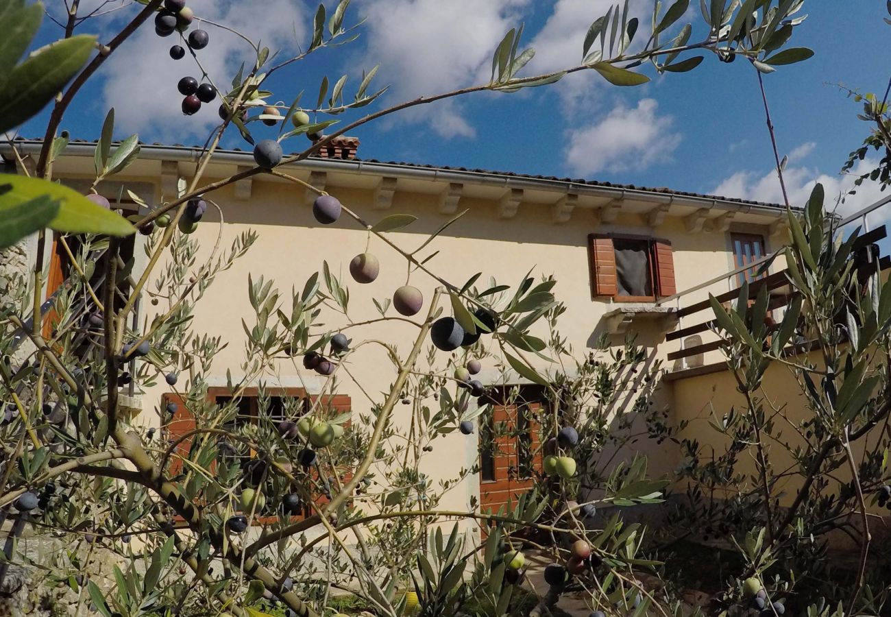 Country house in Šumber - Poolincluded - Dream Villam