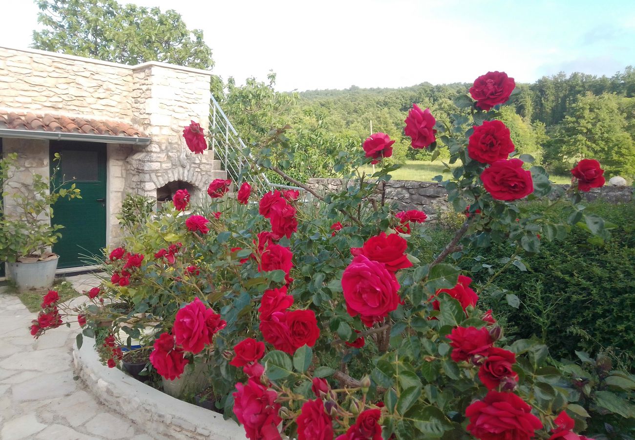 Country house in Šumber - Poolincluded - Dream Villam