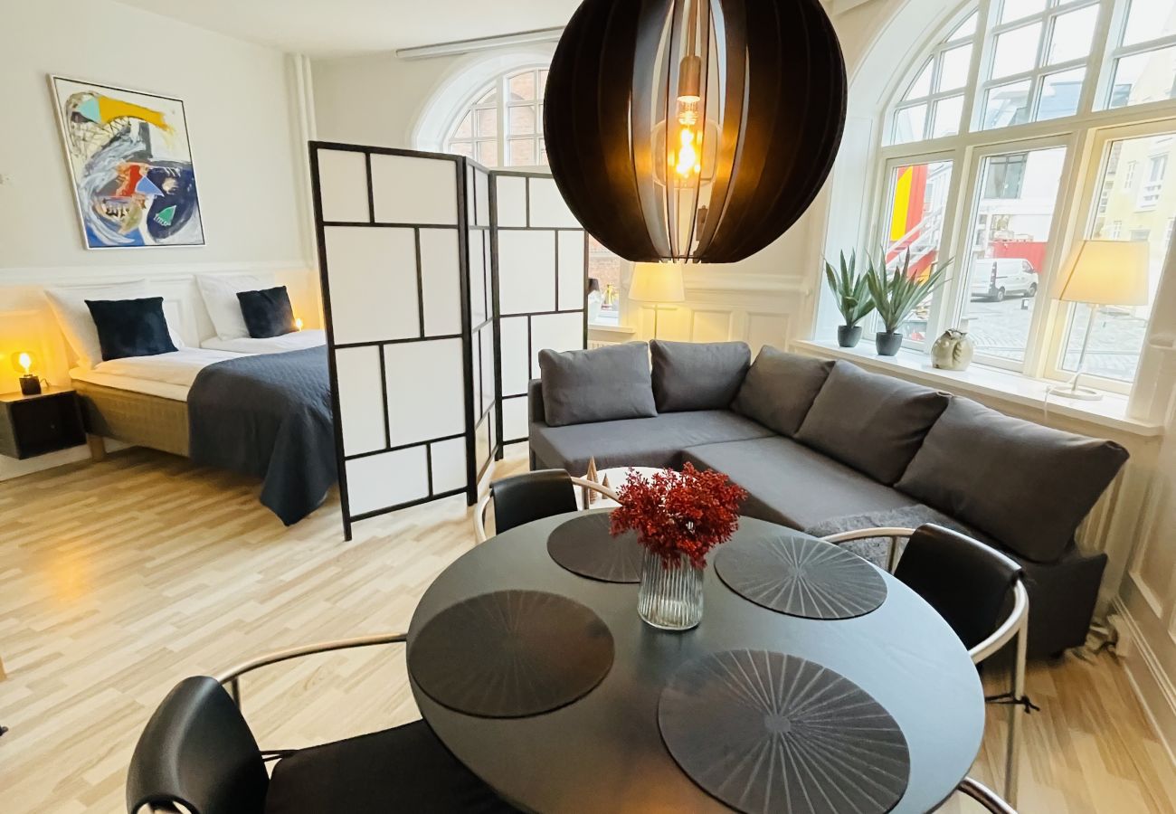 Studio in Aalborg - aday - Luxurious Studio Apartment in the Heart of Aalborg 