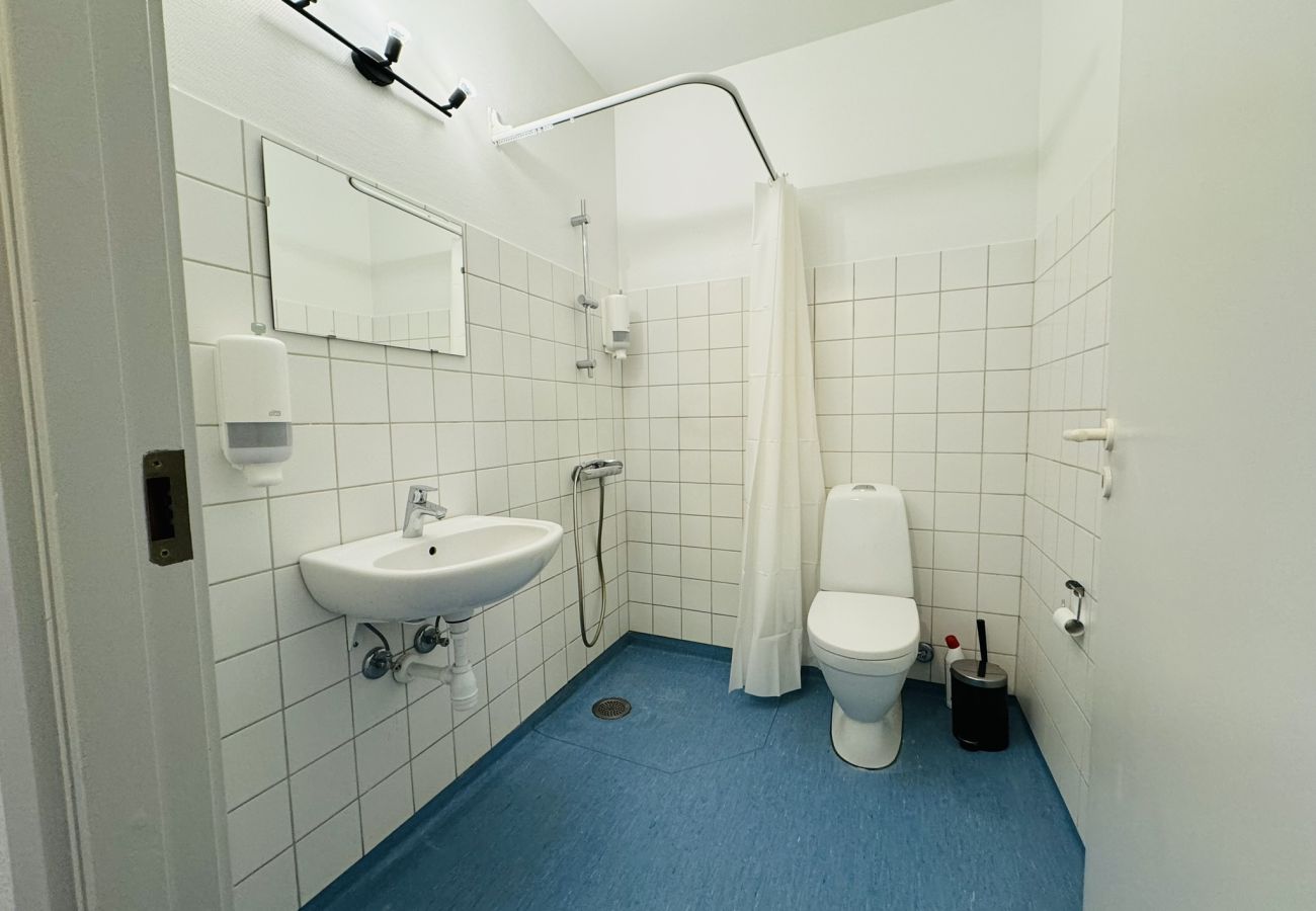 Apartment in Randers - aday - Randers cozy 1 bedroom apartment