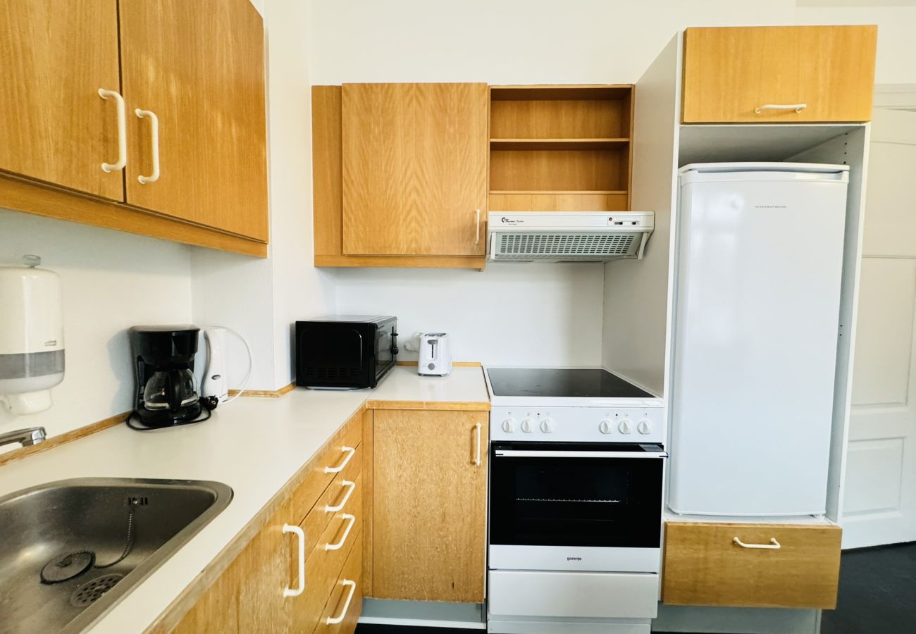 Apartment in Randers - aday - Randers cozy 1 bedroom apartment
