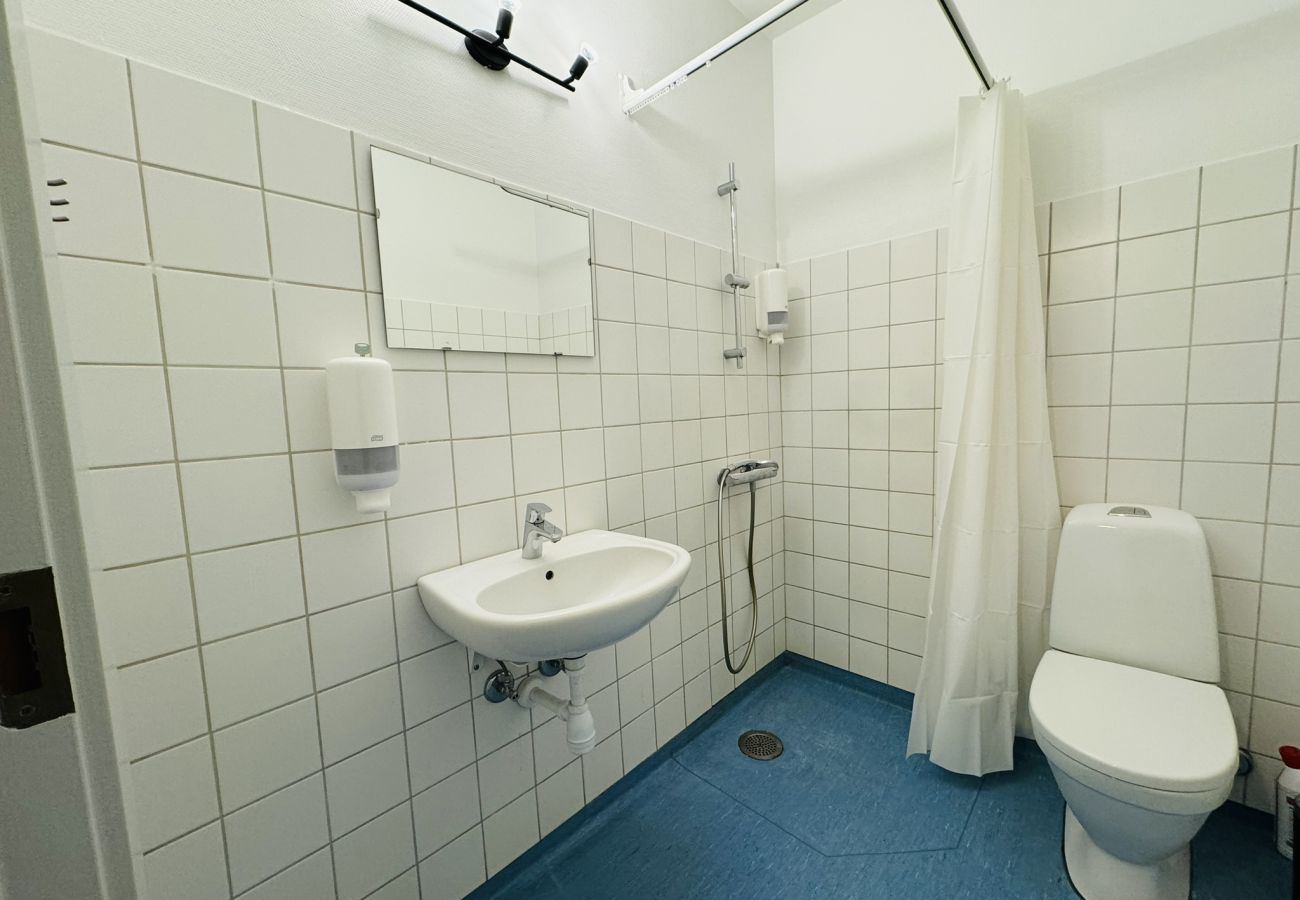 Apartment in Randers - aday - Randers cozy 1 bedroom apartment