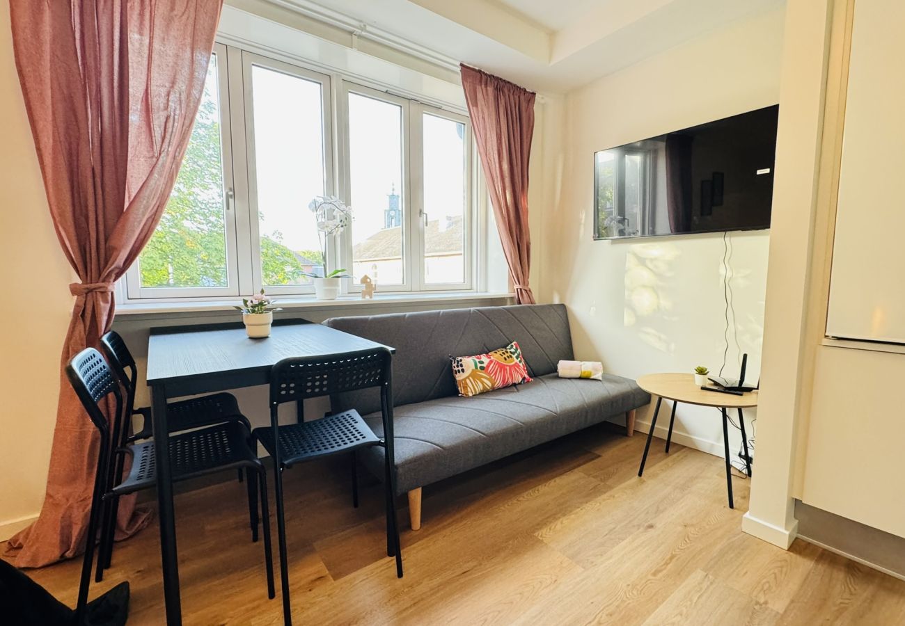 Studio in Aalborg - aday - Cozy and Modern Studio Apartment