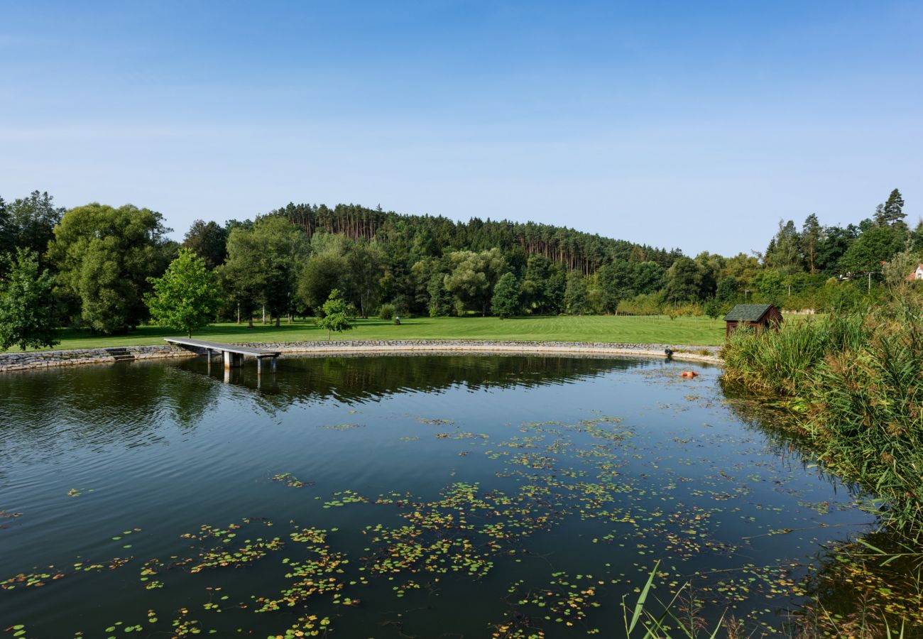 Villa i Varvažov - Orlík JVNS100