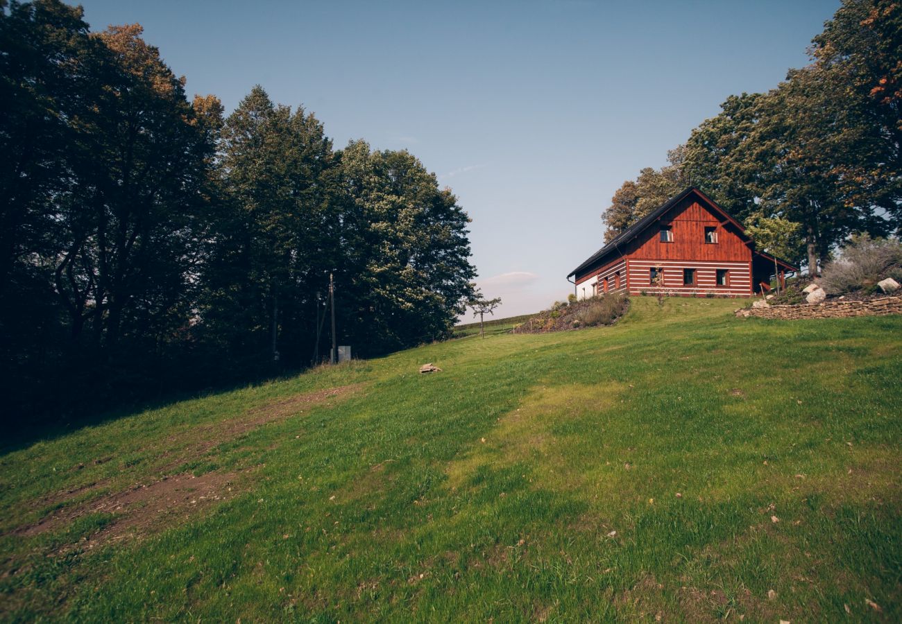 Villa i Lázne Libverda -  Lazne Libverda LLP015