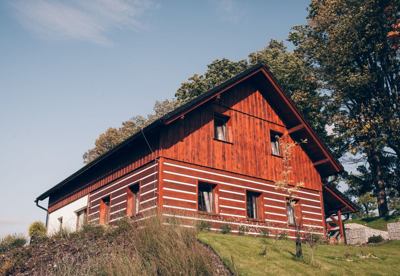 Villa i Lázne Libverda -  Lazne Libverda LLP015