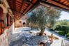 Hus i Starigrad - Poolincluded- Stone House Marasovic