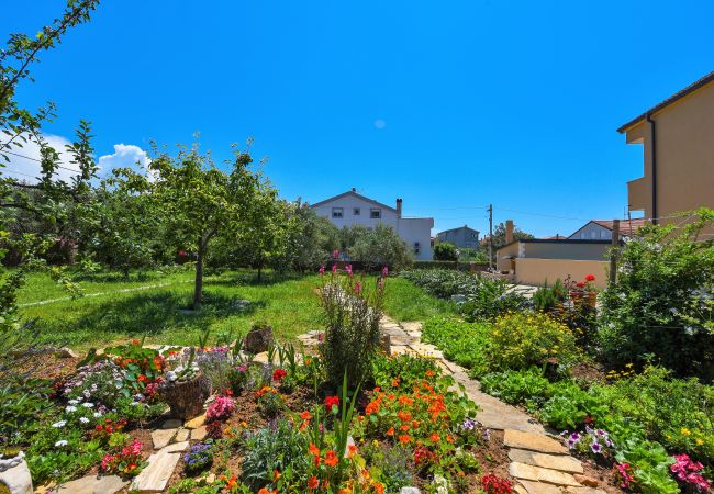 Hus i Zadar - Poolincluded - Villa Yespeace Hus i Zadar - Poolincluded - Villa Yespeace