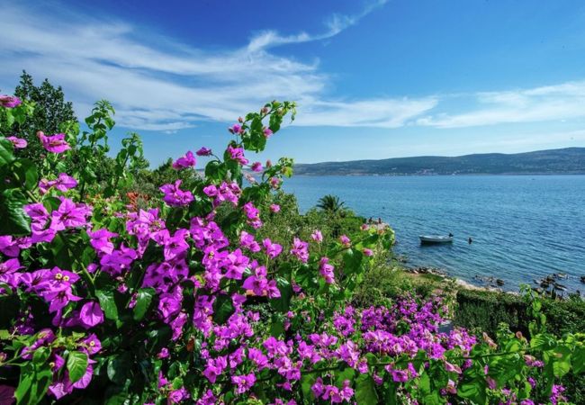 Lejlighed i Starigrad - Beachfront apartment Stipe Lejlighed i Starigrad - Beachfront apartment Stipe