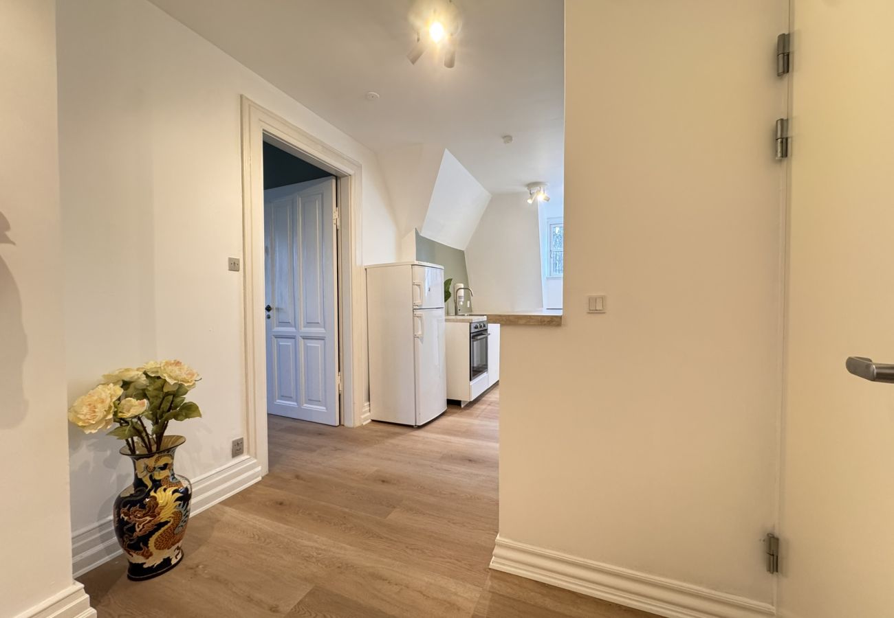 Lejlighed i Aalborg - aday - Aalborg Mansion - 3 Bedrooms Apartment