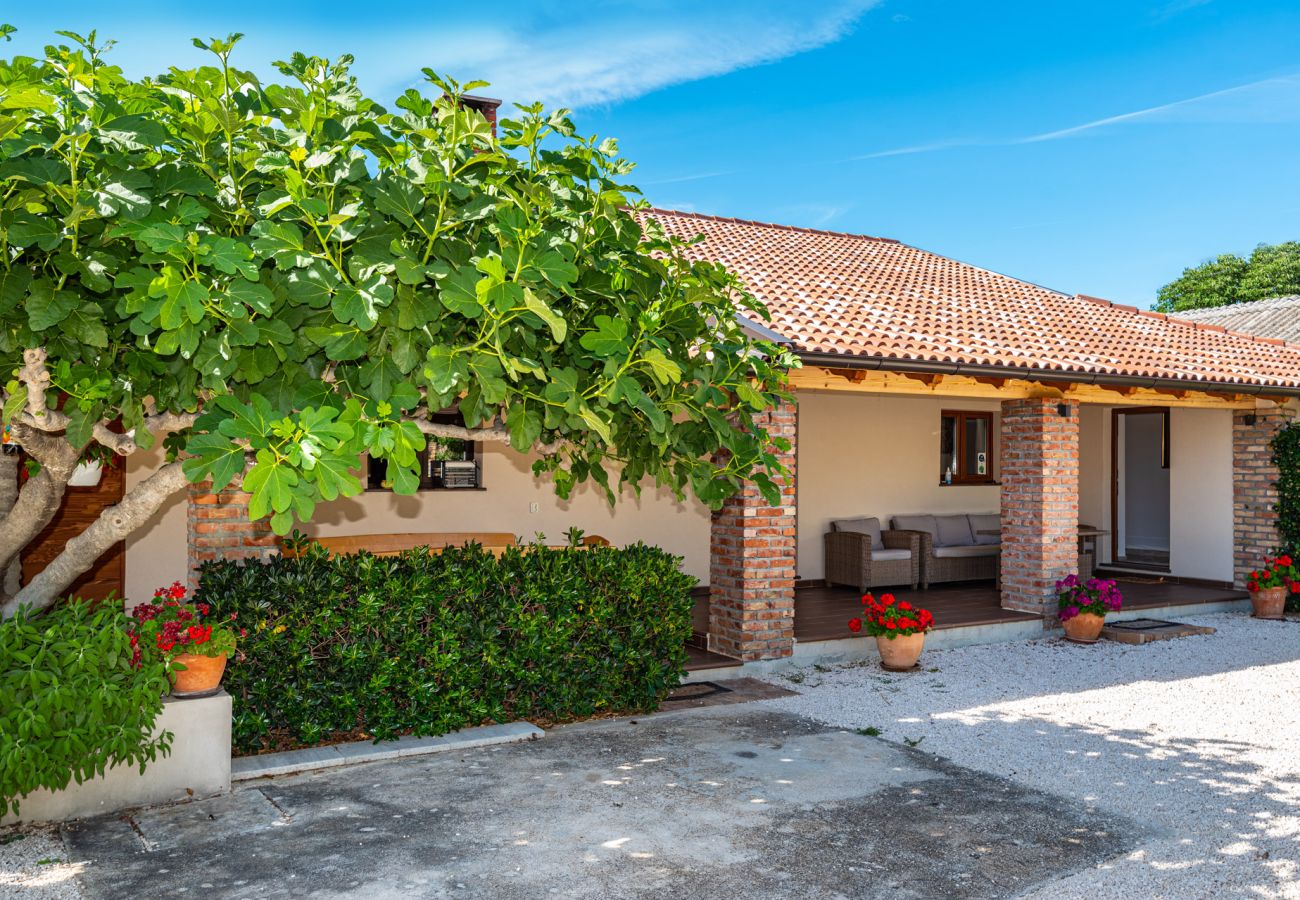 Hus i Debeljak - Poolincluded - Villa Dalmatia