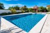 Hus i Debeljak - Poolincluded - Villa Dalmatia