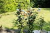 Lejlighed i Aalborg - aday - Aalborg mansion - Open bright apartment with garden