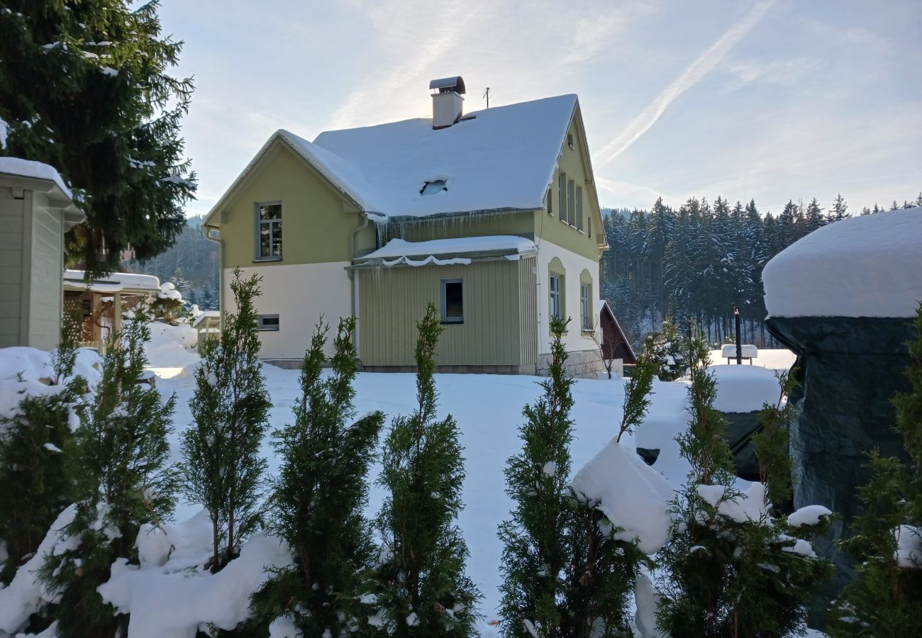 Villa i Albrechtice v Jizerských horách -  Albrechtice LAT085