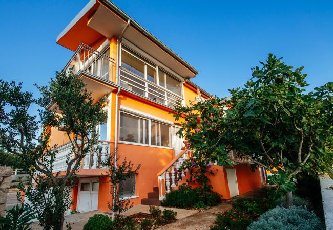 Hus i Maslenica - Poolincluded - Holiday house Favorit Hus i Maslenica - Poolincluded - Holiday house Favorit