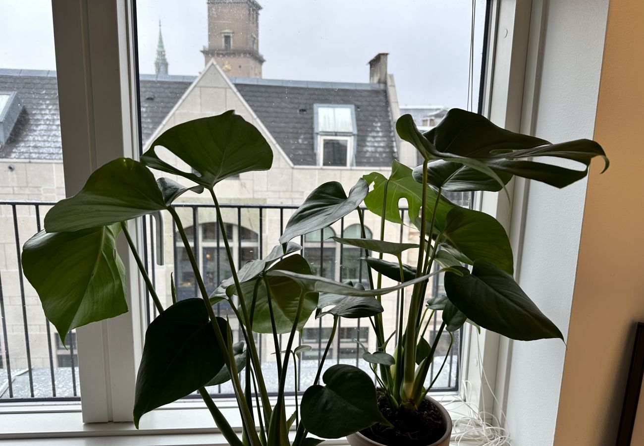Ferielejlighed i København - aday - 2 Bedroom Nordic Penthouse on Stroeget in CPH